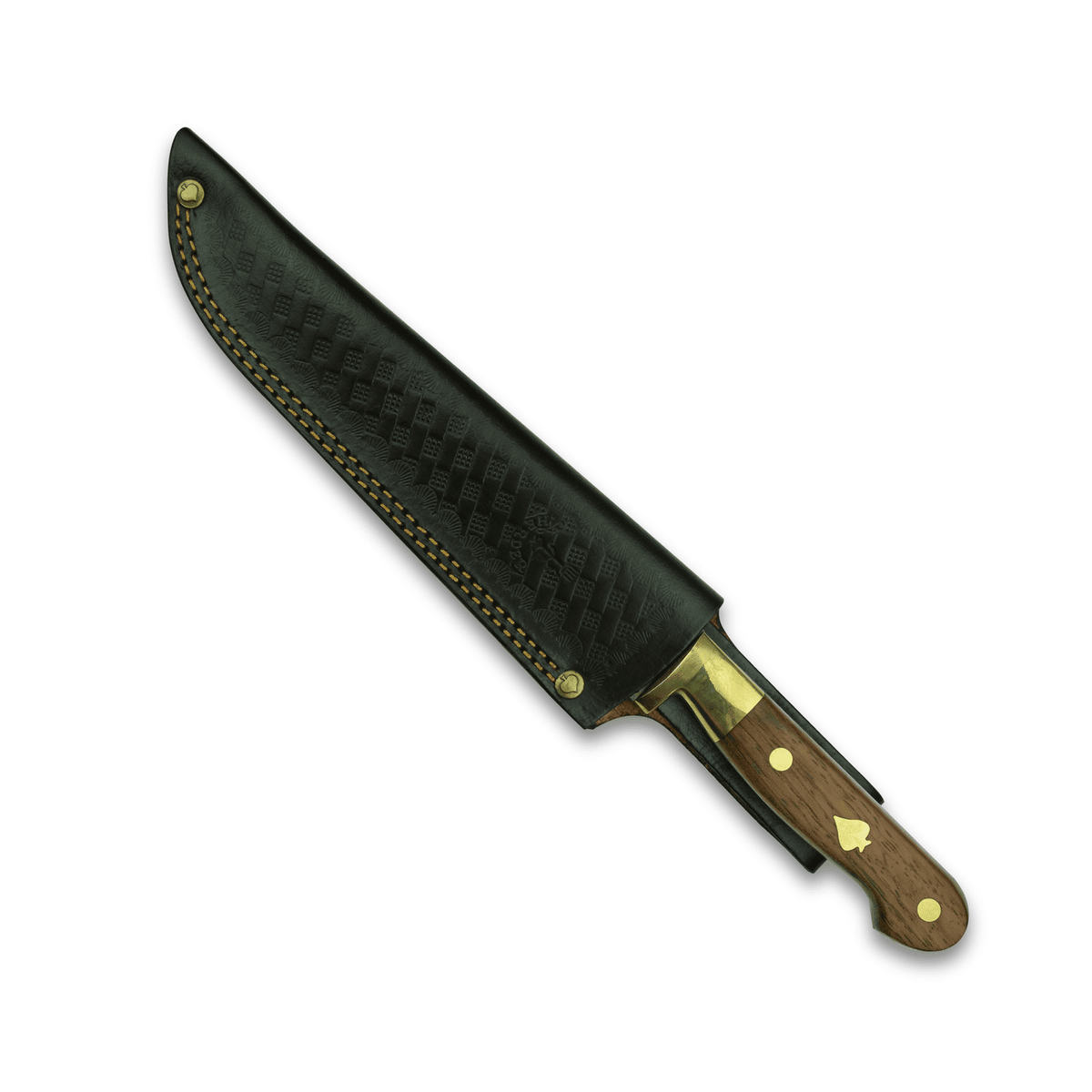 Hadrami Lederscheide / Leathercover – Ansicht 2