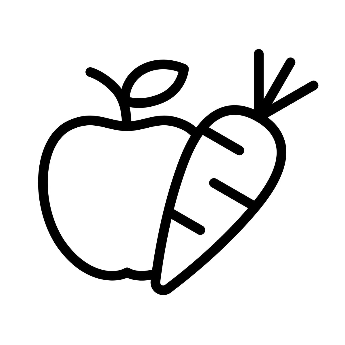 Obst & Gemüse